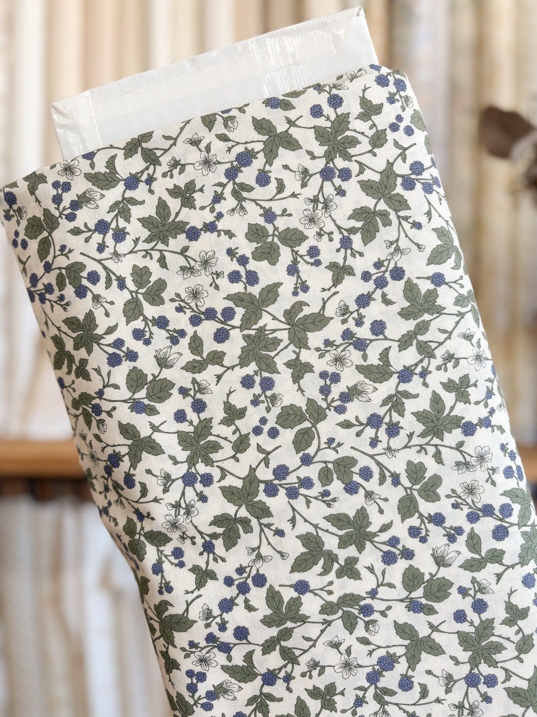 Blueberries 850531-D1-4 by Sevenberry