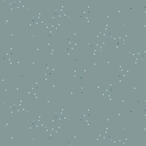 Twinkle Little Stars Sky - Adventale by Art Gallery Fabrics