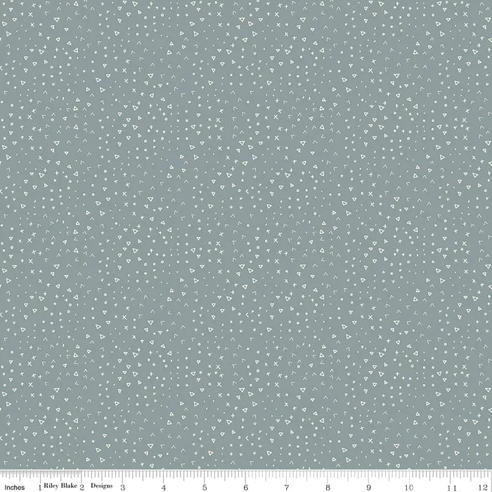 Terrain Blue - Leo & Savannah by Riley Blake Designs