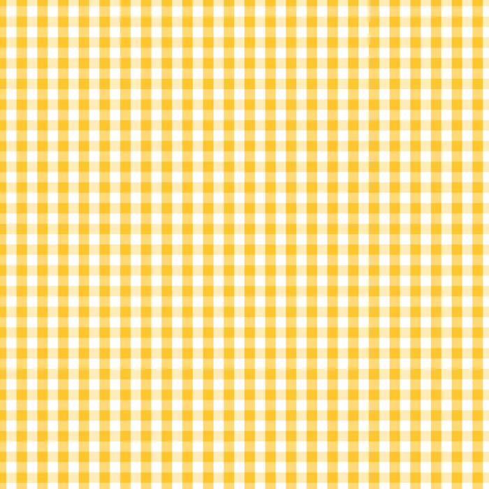Sunnyside Check 1/4" - Fundamentals by Devonstone