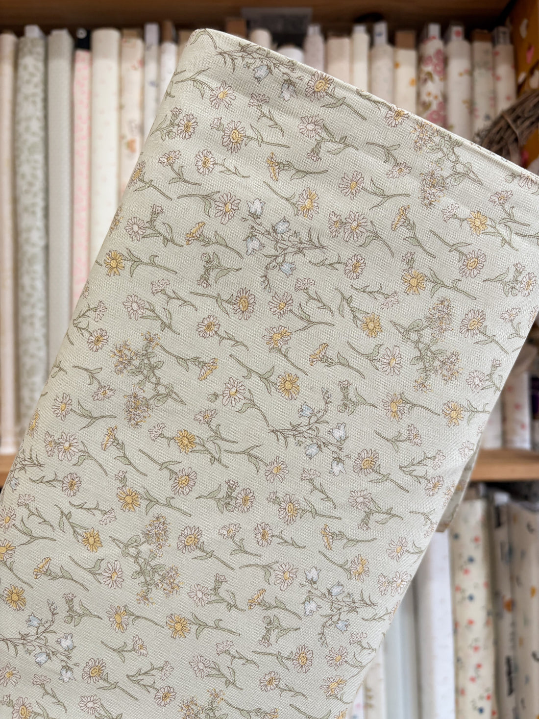Daisy Field Sage KG004-C by Nippon Chuko