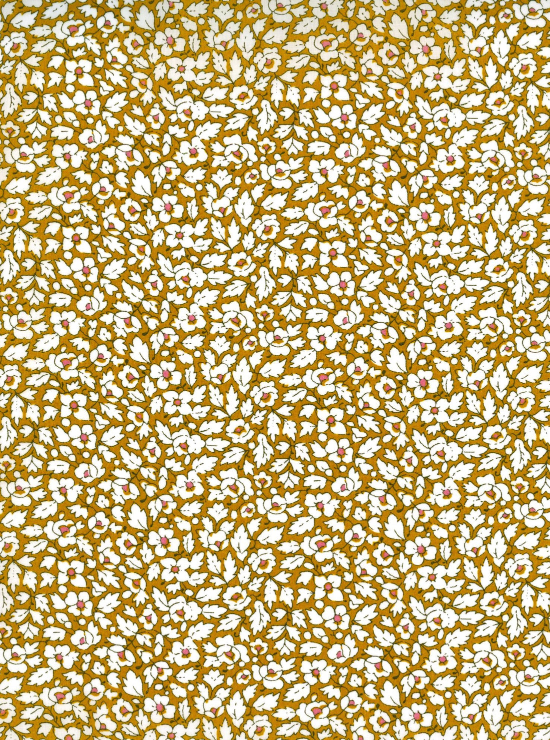 Feather Meadow A - Liberty Tana Lawn