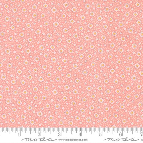 Dotty Daisy Petal - 30&