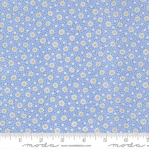 Dotty Daisy Sky - 30&