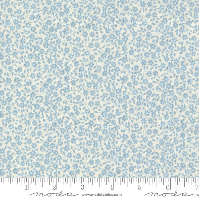Vines Sky - 30&