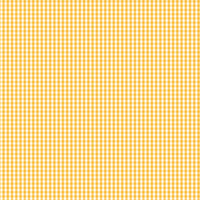 Sunnyside Check 1/8" - Fundamentals by Devonstone