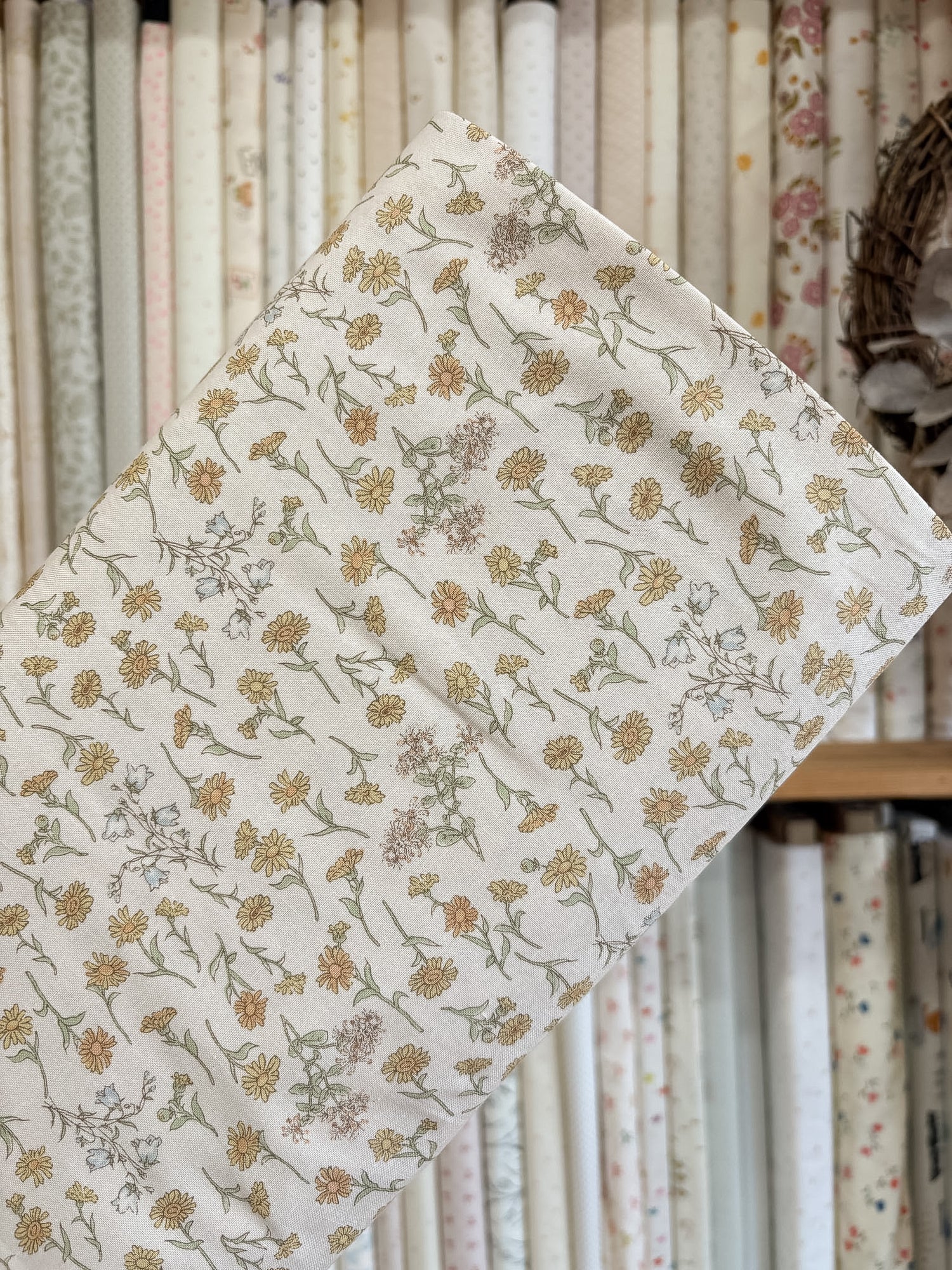 Daisy Field Cream KG004-A by Nippon Chuko