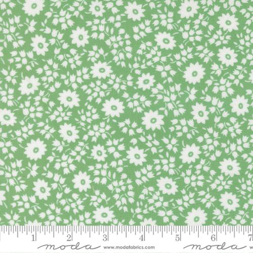 Perky Posies Aloe - 30&