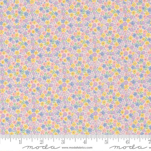 Cute Calico Pastel - 30&