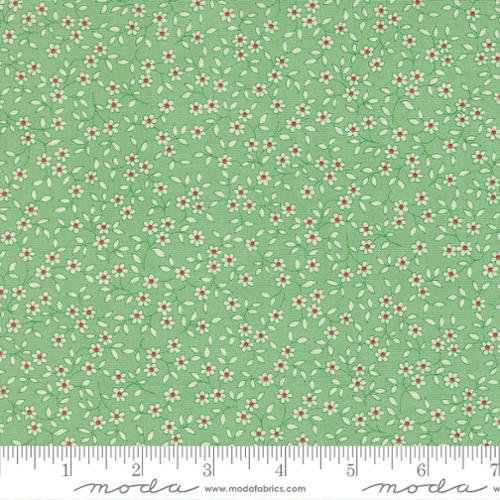 Blooming Vines Aloe - 30&