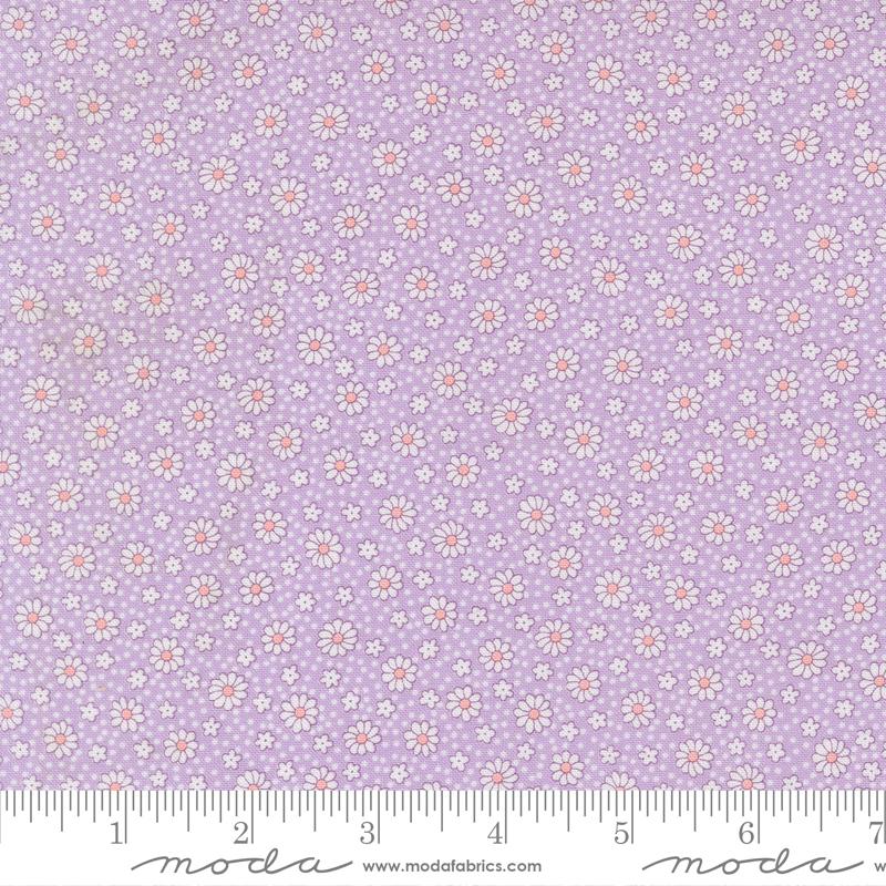 Dotty Daisy Lilac - 30&