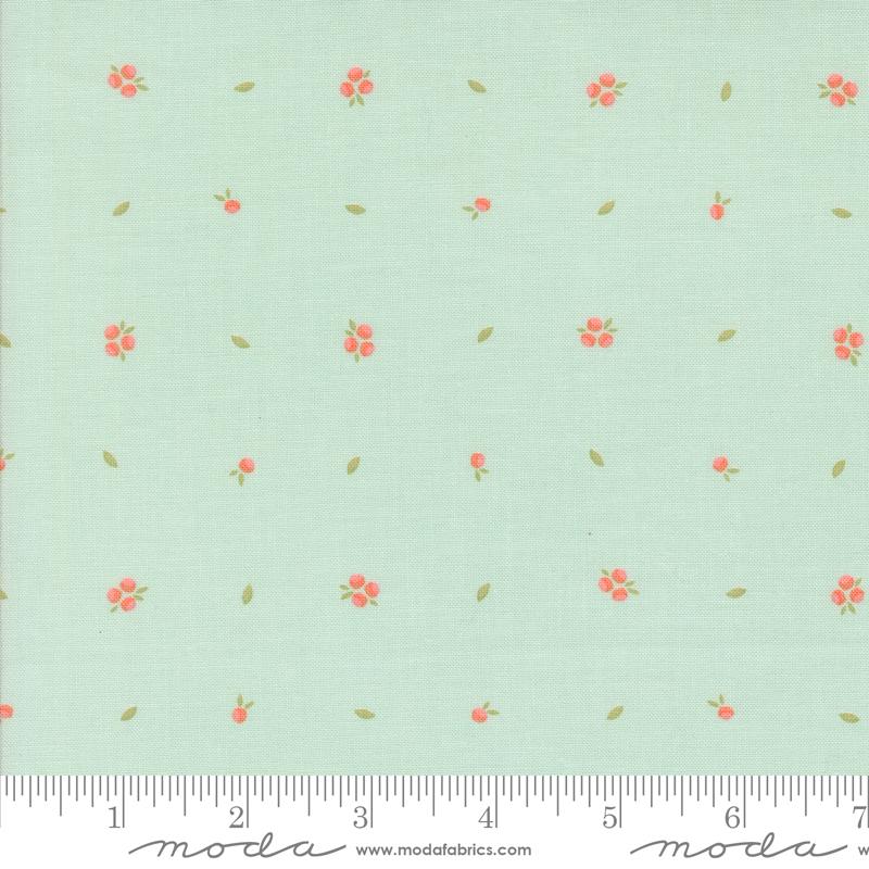 Little Sprout Robin&