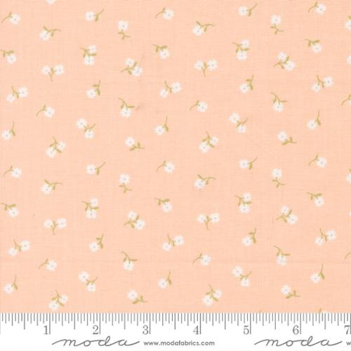 Tinys Petal - Pastel Prairie by Moda