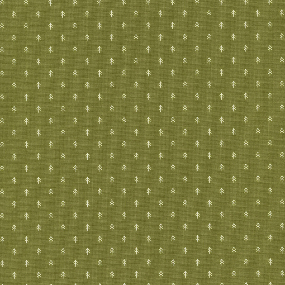 Tiny Trees Pine - On Dasher by Moda