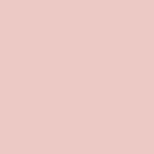 Cotton Candy - Pure Solids by Art Gallery Fabrics
