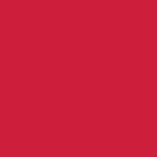 Undeniably Red - Pure Solids by Art Gallery Fabrics