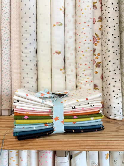 Starry - Handpicked 16 Piece Bundle