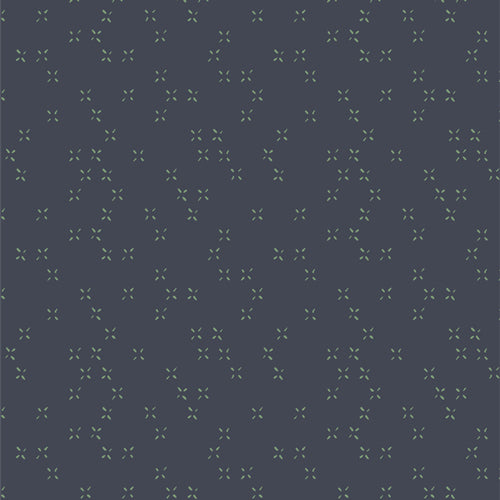 Twinkle Twinkle Galaxy - Lilliput by Art Gallery Fabrics