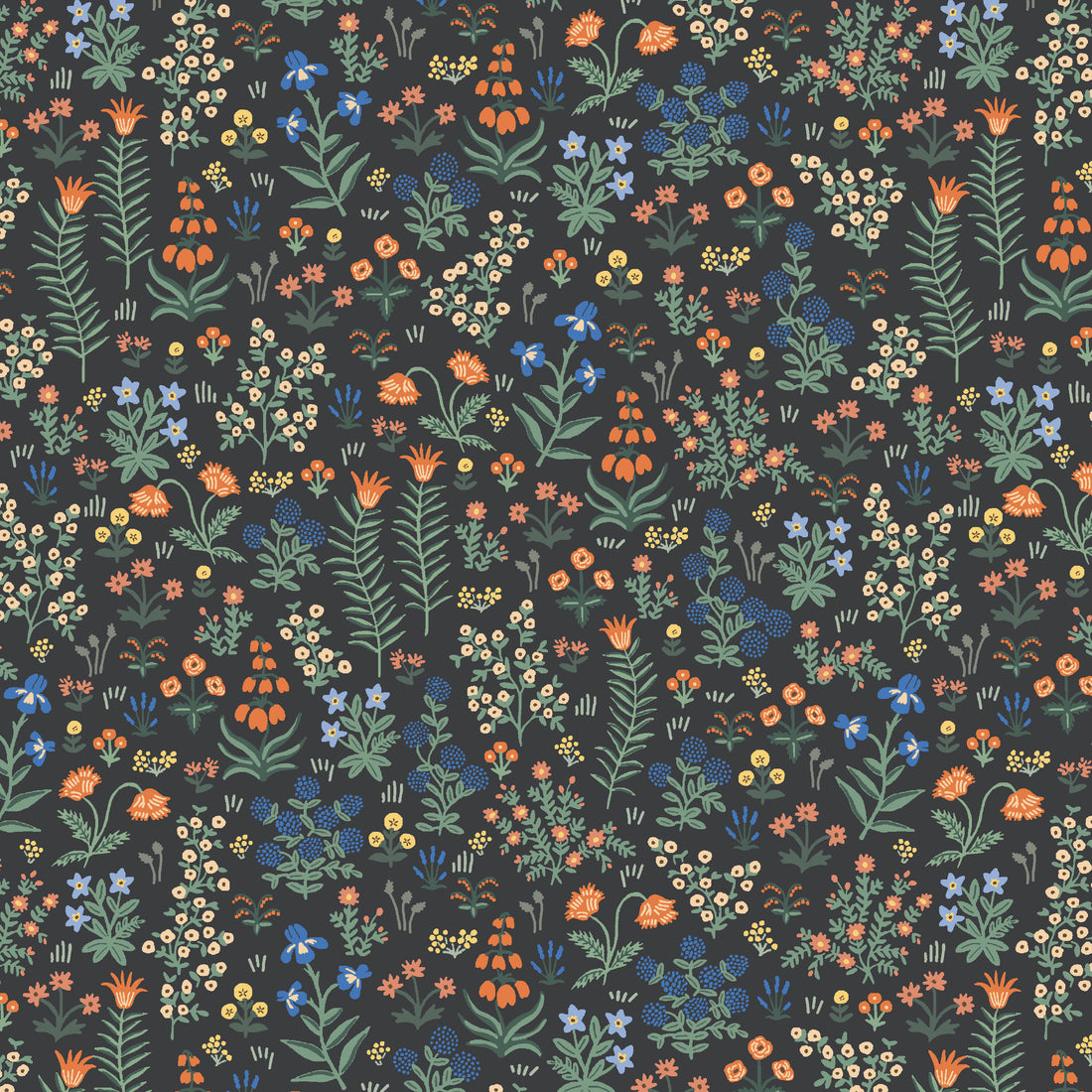 Menagerie Garden Black - Camont by Rifle Paper Co