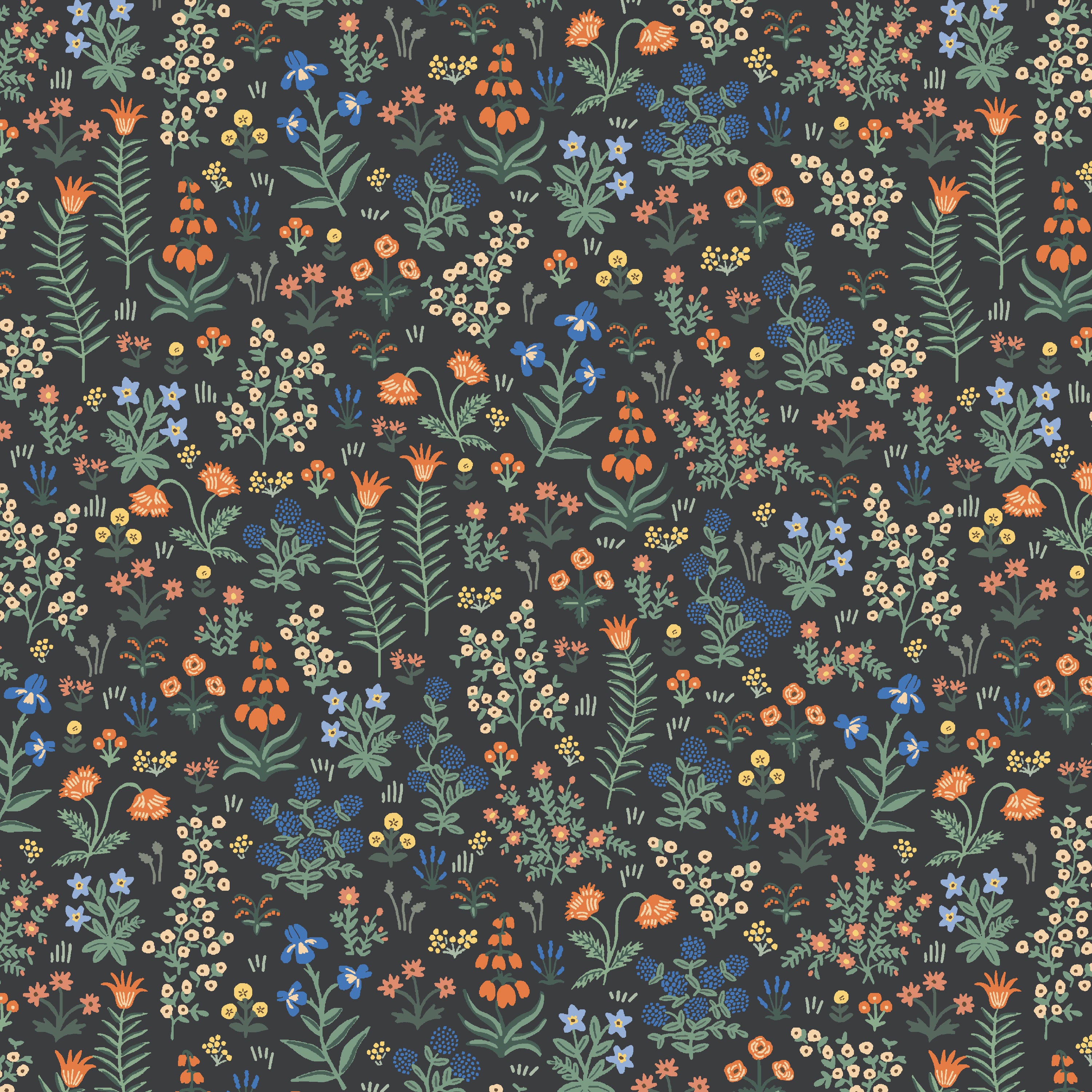 Menagerie Garden Black - Camont by Rifle Paper Co